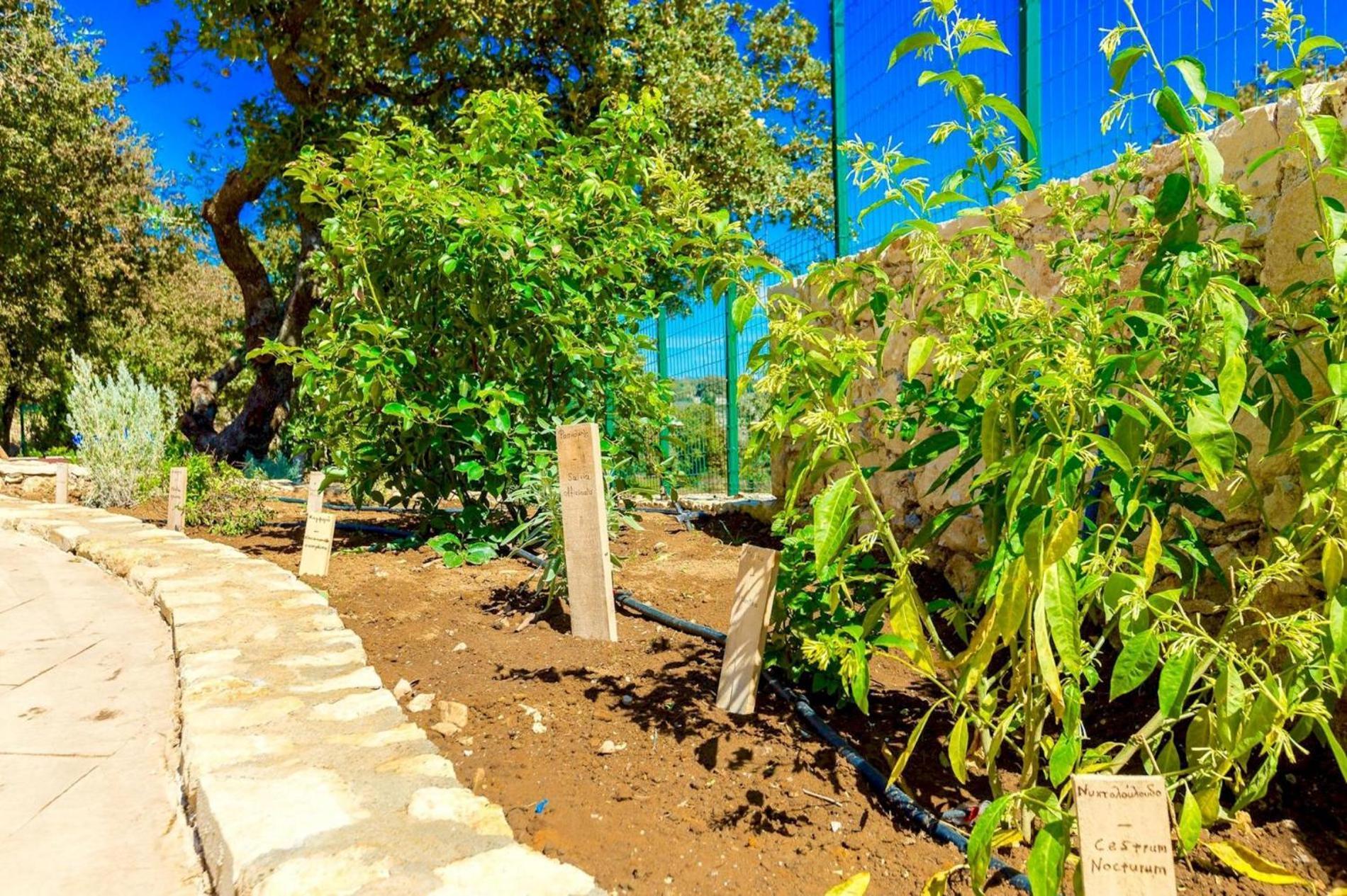 Villa Trules Fotinos ภายนอก รูปภาพ